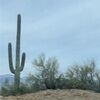 highlandthrift_